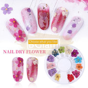 Japanese Style Dried Flowers Nail Deco