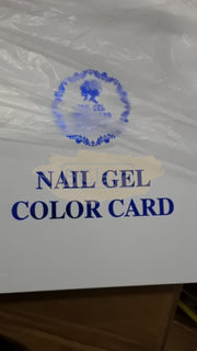 Nail Gel Color Card - 216 Slots
