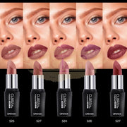 Claraline Professional HD Effect Lipstick 529