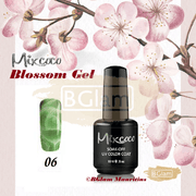 Mixcoco Soak-Off Gel Polish 15Ml - Blossom Collection 06 Nail